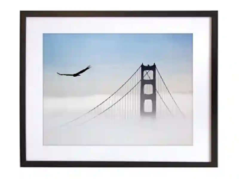 Aigle survolant le Golden Gate - 50 x 40 cm