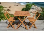 Ensemble SAKI - Table de jardin + 2 chaises 
