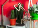 Lampe LET IT BE 