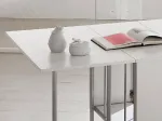 Dining table PINIA 